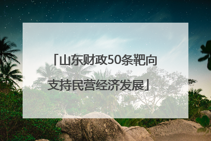 山东财政50条靶向支持民营经济发展