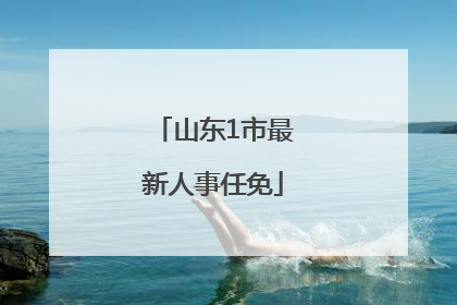 山东1市最新人事任免