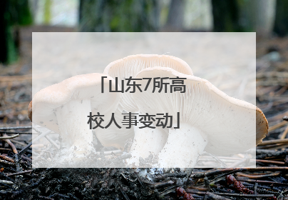 山东7所高校人事变动
