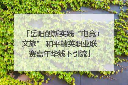 岳阳创新实践“电竞+文旅” 和平精英职业联赛嘉年华线下引流