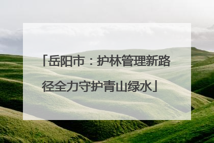 岳阳市：护林管理新路径全力守护青山绿水