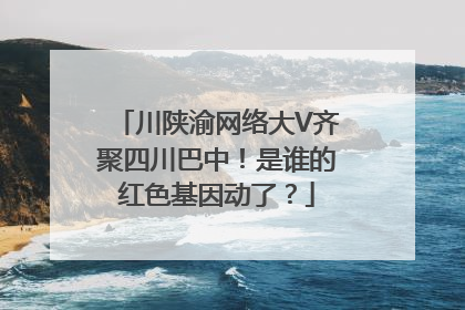 川陕渝网络大V齐聚四川巴中！是谁的红色基因动了？