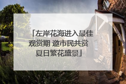 左岸花海进入最佳观赏期 邀市民共赏夏日繁花盛景