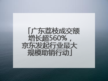 广东荔枝成交额增长超560%，京东发起行业最大规模助销行动