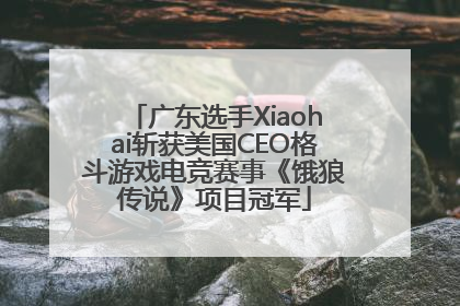 广东选手Xiaohai斩获美国CEO格斗游戏电竞赛事《饿狼传说》项目冠军