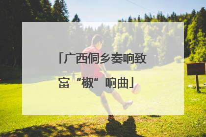 广西侗乡奏响致富“椒”响曲