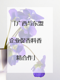 广西与东盟企业促香料香精合作