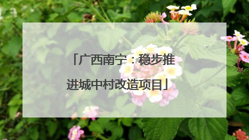广西南宁：稳步推进城中村改造项目