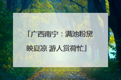 广西南宁：满池粉黛映夏凉 游人赏荷忙