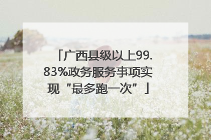 广西县级以上99.83%政务服务事项实现“最多跑一次”