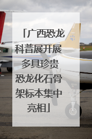 广西恐龙科普展开展 多具珍贵恐龙化石骨架标本集中亮相