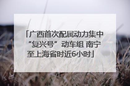 广西首次配属动力集中“复兴号”动车组 南宁至上海省时近6小时