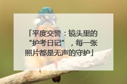 平度交警：镜头里的“护考日记”，每一张照片都是无声的守护