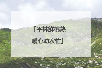 平林鲜桃熟 暖心助农忙