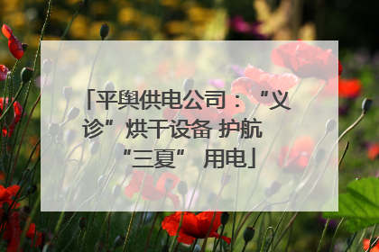 平舆供电公司：“义诊”烘干设备 护航 “三夏” 用电