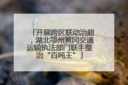 开展跨区联动治超，湖北鄂州黄冈交通运输执法部门联手整治“百吨王”