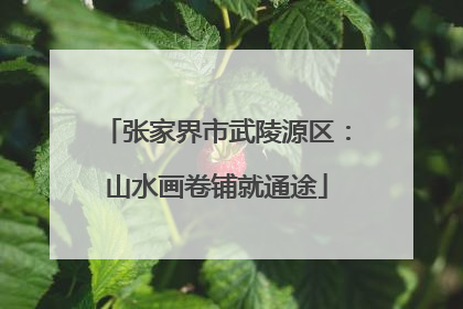 张家界市武陵源区：山水画卷铺就通途
