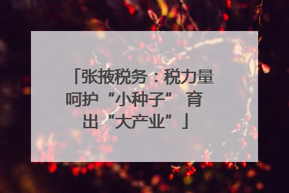 张掖税务：税力量呵护“小种子” 育出“大产业”