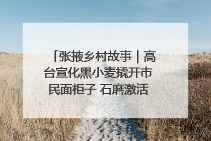 张掖乡村故事｜高台宣化黑小麦撬开市民面柜子 石磨激活村集体钱匣子
