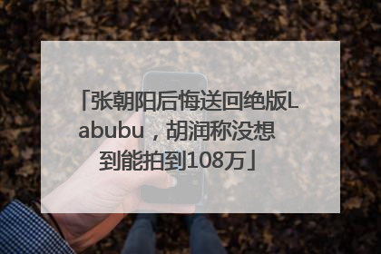 张朝阳后悔送回绝版Labubu，胡润称没想到能拍到108万