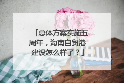 总体方案实施五周年，海南自贸港建设怎么样了？