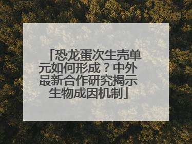 恐龙蛋次生壳单元如何形成？中外最新合作研究揭示生物成因机制