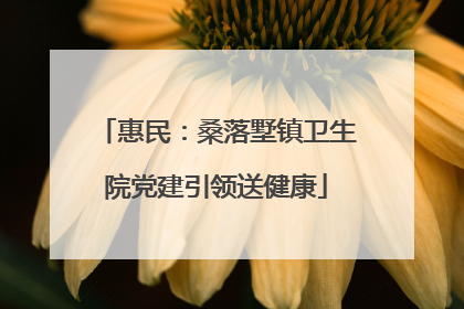 惠民：桑落墅镇卫生院党建引领送健康