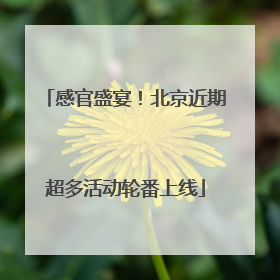 感官盛宴！北京近期超多活动轮番上线