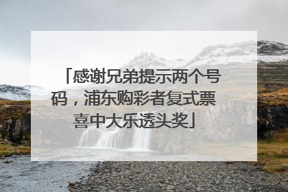 感谢兄弟提示两个号码，浦东购彩者复式票喜中大乐透头奖