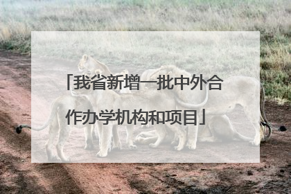 我省新增一批中外合作办学机构和项目