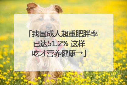 我国成人超重肥胖率已达51.2% 这样吃才营养健康→