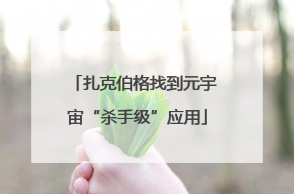 扎克伯格找到元宇宙“杀手级”应用