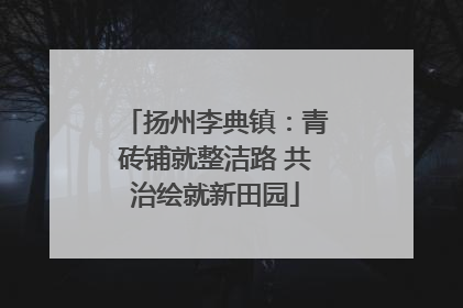 扬州李典镇：青砖铺就整洁路 共治绘就新田园
