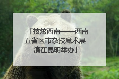 技炫西南——西南五省区市杂技魔术展演在昆明举办