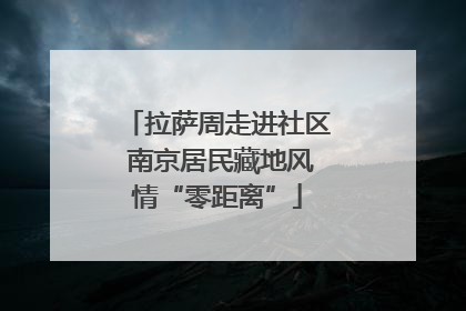 拉萨周走进社区 南京居民藏地风情“零距离”
