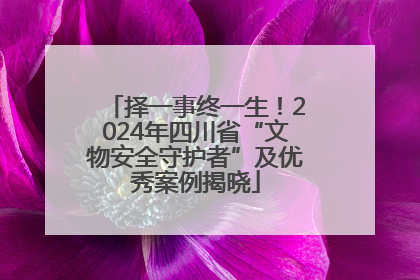 择一事终一生！2024年四川省“文物安全守护者”及优秀案例揭晓