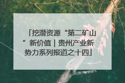挖潜资源“第二矿山”新价值｜贵州产业新势力系列报道之十四