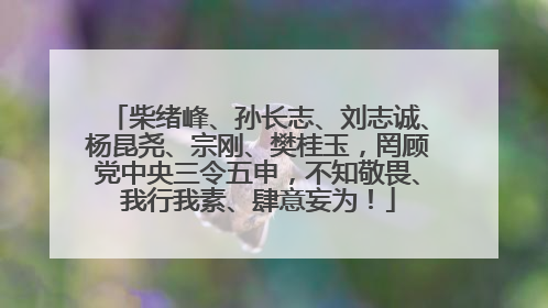 柴绪峰、孙长志、刘志诚、杨昆尧、宗刚、樊桂玉，罔顾党中央三令五申，不知敬畏、我行我素、肆意妄为！