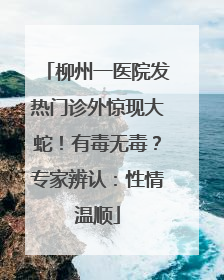 柳州一医院发热门诊外惊现大蛇！有毒无毒？专家辨认：性情温顺