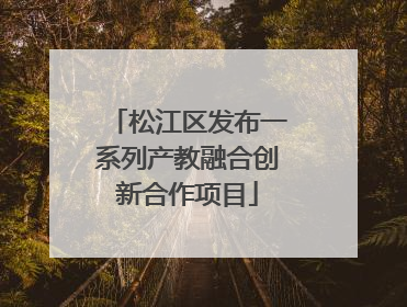 松江区发布一系列产教融合创新合作项目