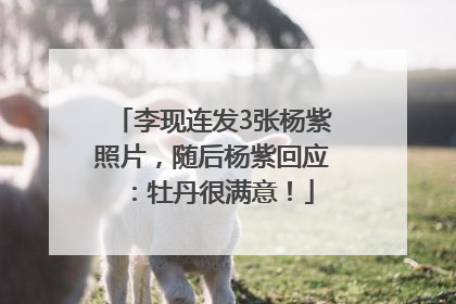 李现连发3张杨紫照片，随后杨紫回应：牡丹很满意！
