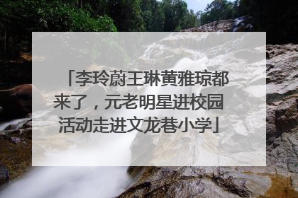 李玲蔚王琳黄雅琼都来了，元老明星进校园活动走进文龙巷小学
