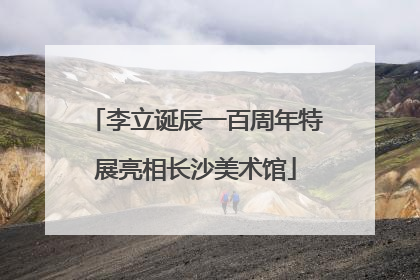 李立诞辰一百周年特展亮相长沙美术馆