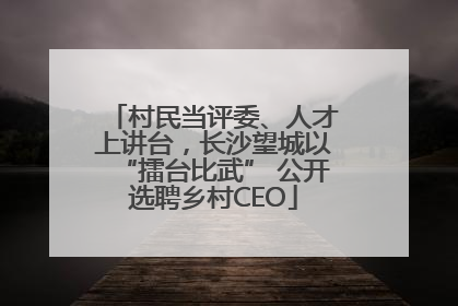 村民当评委、人才上讲台，长沙望城以“擂台比武” 公开选聘乡村CEO