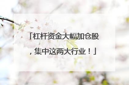 杠杆资金大幅加仓股，集中这两大行业！