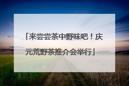 来尝尝茶中野味吧！庆元荒野茶推介会举行
