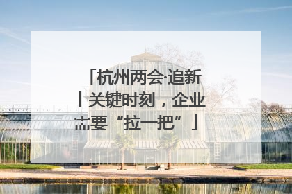 杭州两会·追新丨关键时刻，企业需要“拉一把”