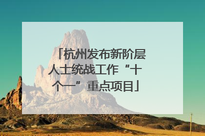 杭州发布新阶层人士统战工作“十个一”重点项目