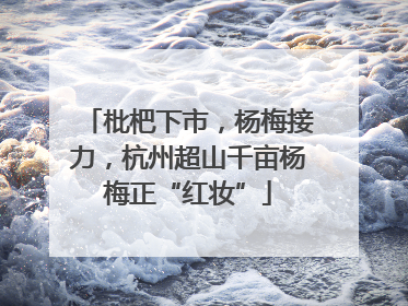 枇杷下市，杨梅接力，杭州超山千亩杨梅正“红妆”