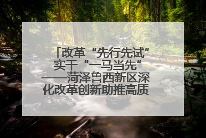 改革“先行先试” 实干“一马当先”——菏泽鲁西新区深化改革创新助推高质量发展纪实